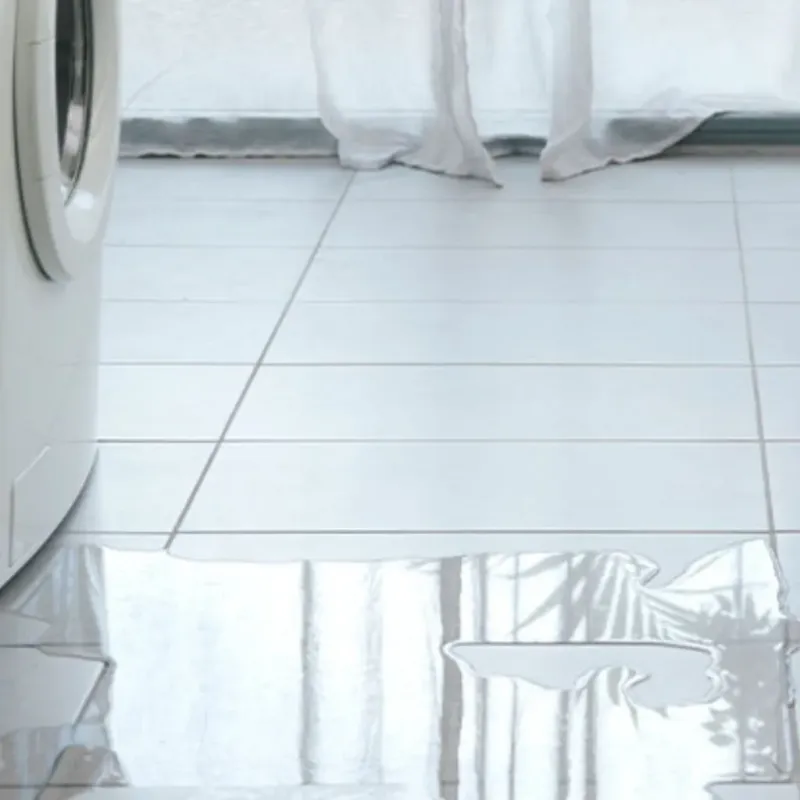 Appliance Leak Cleanup in Muenster, TX