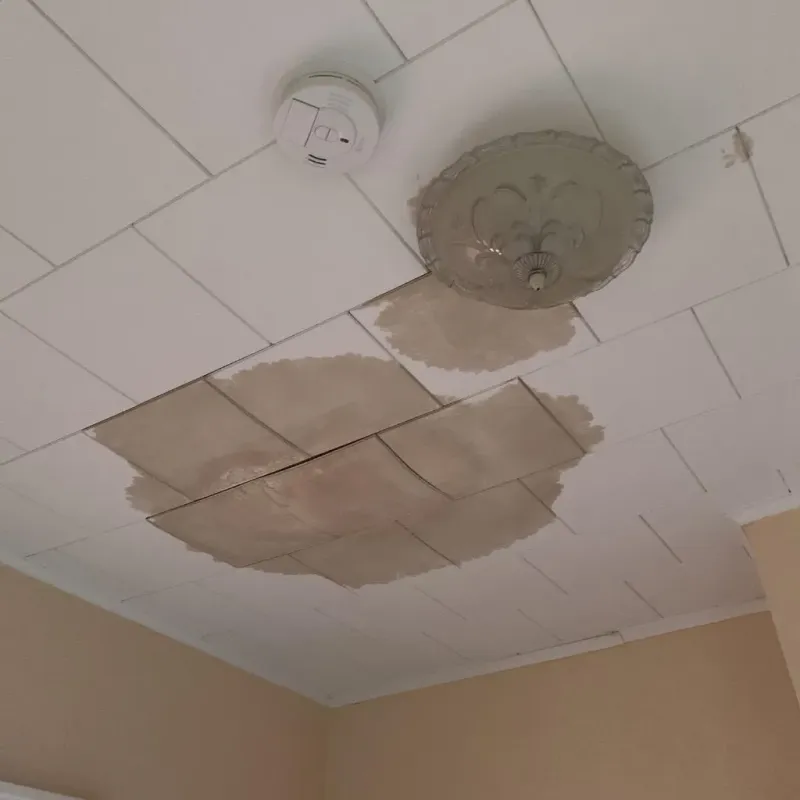 Ceiling Water Damage Repair in Muenster, TX