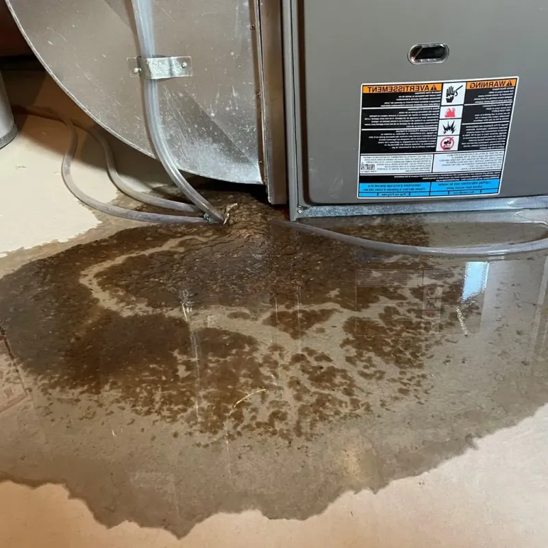 Pipe Burst and Leak Restoration in Muenster, TX
