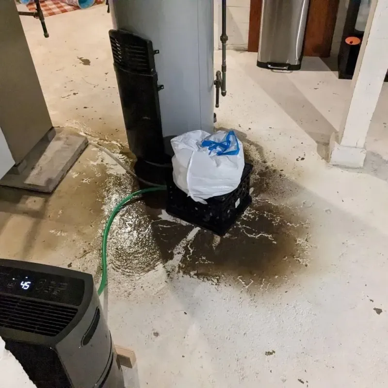 Sewage Backup Cleanup Service in Muenster, TX